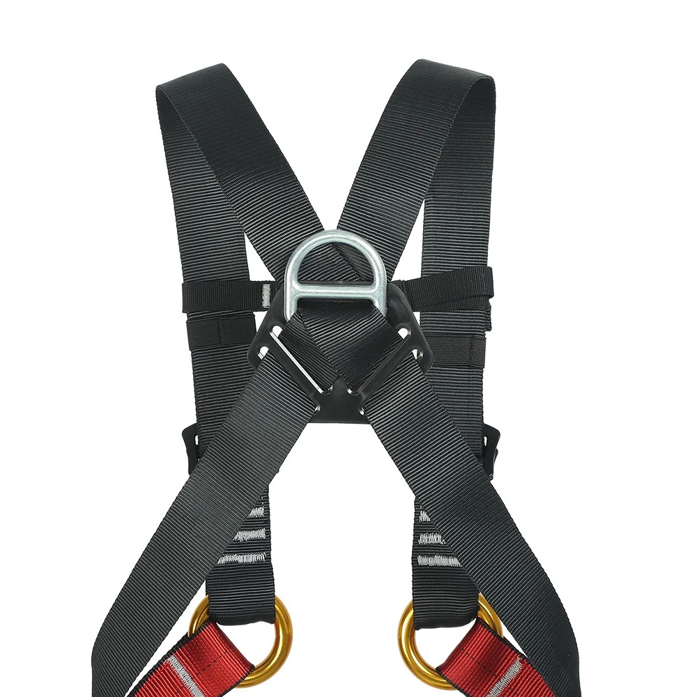 子供屋内拡張フルボディハーネス屋外ロッククライミング屋外保護 - Kids Outdoor Climbing Structure のレビューと価格