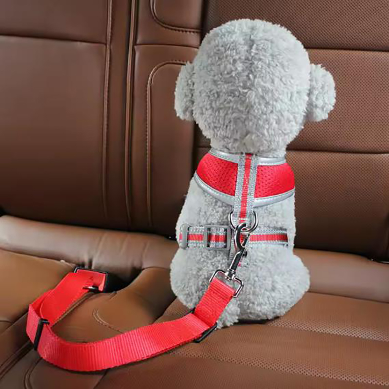 犬用シートベルト、ペット用カーシートベルト、巻き取り式リード - Swing Seat Belt のレビューと価格