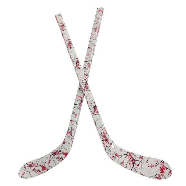 子供用耐久性のあるABS製アイスホッケー スティックセット  - Kids Outdoor Hockey Set のレビューと価格